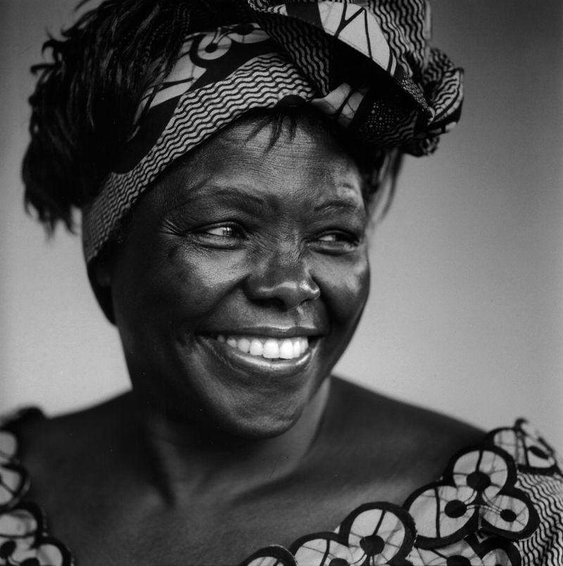 Wangari Maathai by Brigitte Lacombe